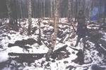Просмотреть подробно. 150Kb